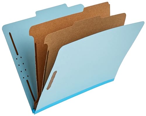 Eco-Friendly Basics Classification Folder with Prongs, 100% Recycled, 2 Dividers, 2"