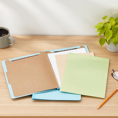 Eco-Friendly Basics Classification Folder with Prongs, 100% Recycled, 2 Dividers, 2"