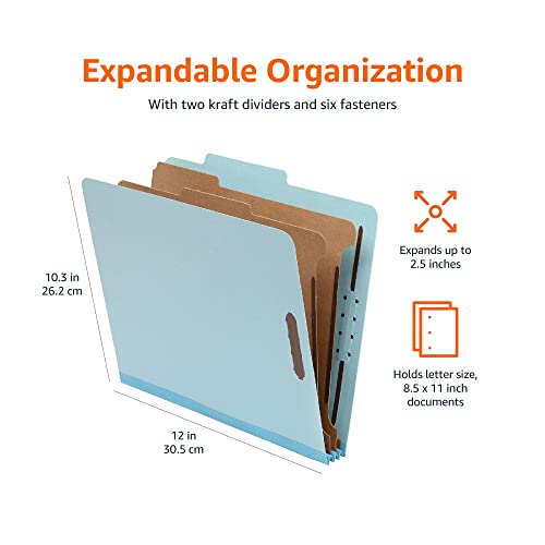 Eco-Friendly Basics Classification Folder with Prongs, 100% Recycled, 2 Dividers, 2"